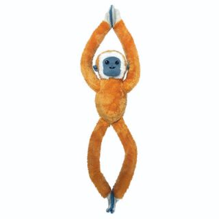 Obrázek z Opice gibon dlouhé ruce plyš ECO 55cm (12) 